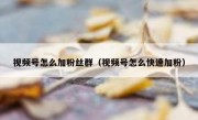 视频号怎么加粉丝群（视频号怎么快速加粉）
