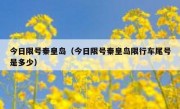今日限号秦皇岛（今日限号秦皇岛限行车尾号是多少）