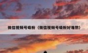 微信视频号吸粉（微信视频号吸粉好难熬）