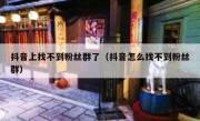 抖音上找不到粉丝群了（抖音怎么找不到粉丝群）