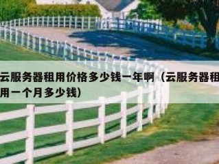 云服务器租用价格多少钱一年啊（云服务器租用一个月多少钱）