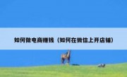 如何做电商赚钱（如何在微信上开店铺）