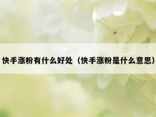 快手涨粉有什么好处（快手涨粉是什么意思）