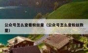公众号怎么查看粉丝量（公众号怎么查粉丝数量）