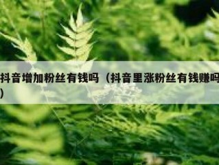 抖音增加粉丝有钱吗（抖音里涨粉丝有钱赚吗）