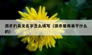 派币的英文名字怎么填写（派币是用来干什么的）