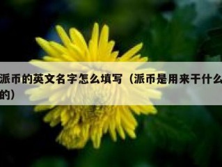 派币的英文名字怎么填写（派币是用来干什么的）