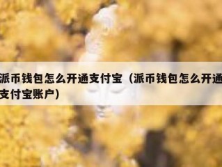 派币钱包怎么开通支付宝（派币钱包怎么开通支付宝账户）