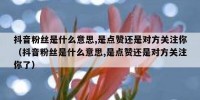 抖音粉丝是什么意思,是点赞还是对方关注你（抖音粉丝是什么意思,是点赞还是对方关注你了）