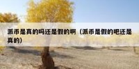 派币是真的吗还是假的啊（派币是假的吧还是真的）