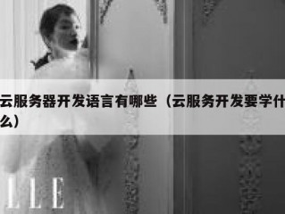 云服务器开发语言有哪些（云服务开发要学什么）