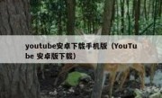 youtube安卓下载手机版（YouTube 安卓版下载）