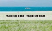 杭州限行哪里查询（杭州限行查询系统）