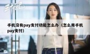 手机没有pay支付功能怎么办（怎么用手机pay支付）