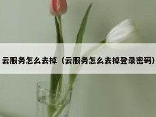 云服务怎么去掉（云服务怎么去掉登录密码）