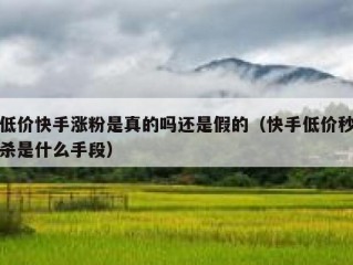 低价快手涨粉是真的吗还是假的（快手低价秒杀是什么手段）