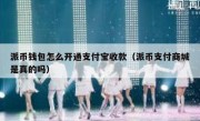 派币钱包怎么开通支付宝收款（派币支付商城是真的吗）