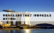 苹果为什么注册不了微信了（苹果手机怎么注册不了微信）