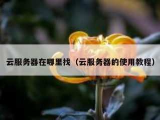云服务器在哪里找（云服务器的使用教程）