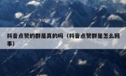 抖音点赞的群是真的吗（抖音点赞群是怎么回事）