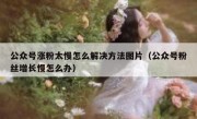 公众号涨粉太慢怎么解决方法图片（公众号粉丝增长慢怎么办）
