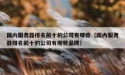 国内服务器排名前十的公司有哪些（国内服务器排名前十的公司有哪些品牌）