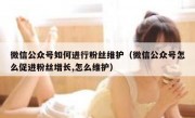 微信公众号如何进行粉丝维护（微信公众号怎么促进粉丝增长,怎么维护）