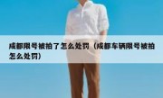成都限号被拍了怎么处罚（成都车辆限号被拍怎么处罚）
