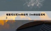 哪里可以买ins粉丝号（ins粉丝能买吗）
