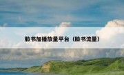 脸书加播放量平台（脸书流量）