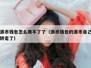 派币钱包怎么用不了了（派币钱包的派币自己转走了）