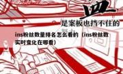ins粉丝数量排名怎么看的（ins粉丝数实时变化在哪看）