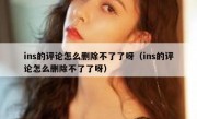 ins的评论怎么删除不了了呀（ins的评论怎么删除不了了呀）