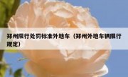 郑州限行处罚标准外地车（郑州外地车辆限行规定）