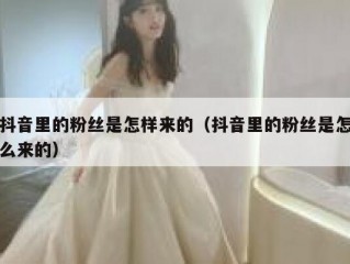 抖音里的粉丝是怎样来的（抖音里的粉丝是怎么来的）
