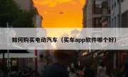 如何购买电动汽车（买车app软件哪个好）