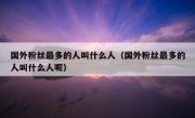 国外粉丝最多的人叫什么人（国外粉丝最多的人叫什么人呢）
