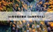 ins账号格式要求（ins账号写什么）