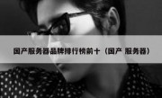 国产服务器品牌排行榜前十（国产 服务器）