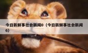 今日新鲜事社会新闻0（今日新鲜事社会新闻6）