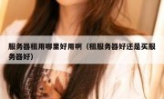 服务器租用哪里好用啊（租服务器好还是买服务器好）