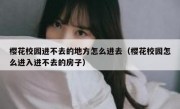 樱花校园进不去的地方怎么进去（樱花校园怎么进入进不去的房子）