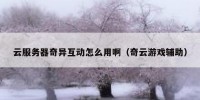 云服务器奇异互动怎么用啊（奇云游戏辅助）