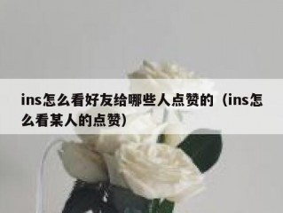 ins怎么看好友给哪些人点赞的（ins怎么看某人的点赞）