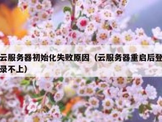 云服务器初始化失败原因（云服务器重启后登录不上）