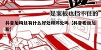 抖音加粉丝有什么好处和坏处吗（抖音粉丝加粉）