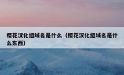 樱花汉化组域名是什么（樱花汉化组域名是什么东西）