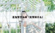 走加赞怎么读（走赞读什么）