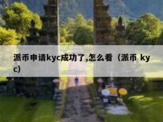 派币申请kyc成功了,怎么看（派币 kyc）