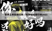 世界上粉丝排行榜（世界粉丝排行榜2021）